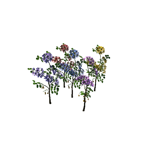Flower  Lignum Vitea